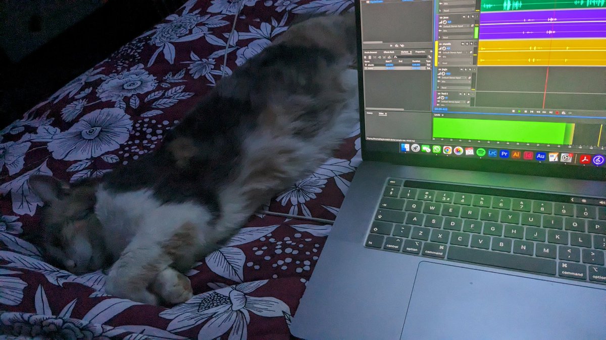ThisHockeyPod's tweet photo. Kitty approves of the new podcast! 🐈‍⬛ https://t.co/IpKKUs8KFA