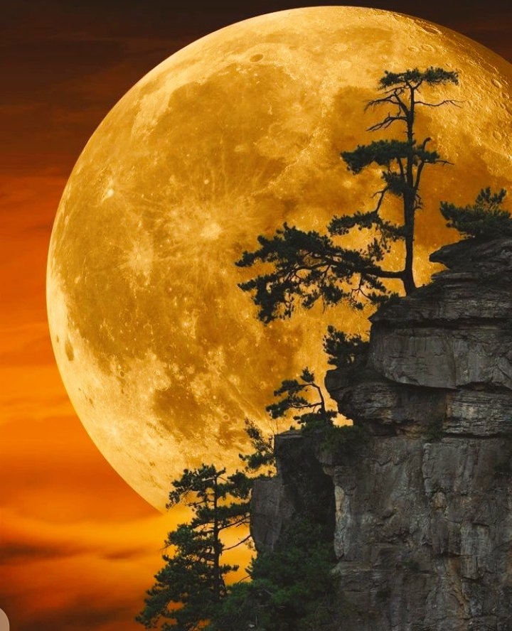 KlatuBaradaNiko's tweet photo. moonlit cliff
#nature https://t.co/X5AgqnVqOT