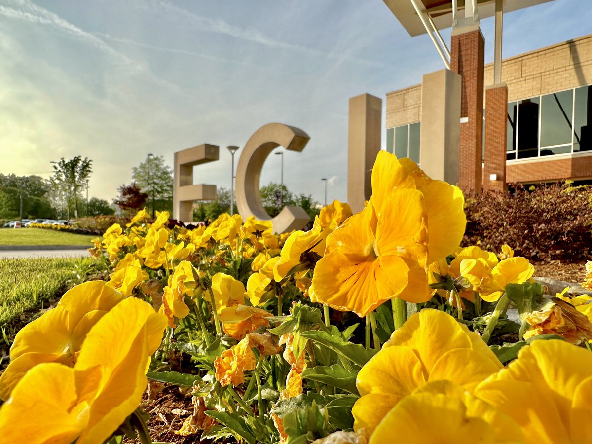 EastCarolina's tweet photo. Saturday, April 22 is #EarthDay. Over the past 20 years #ECU has and continues to support sustainability efforts on campus, in the classroom and through research.
With the help of @SustainECU these #ECUViews never looked so beautiful. Happy #EarthWeek, #Pirates ππ https://t.co/eFELA2UTNq