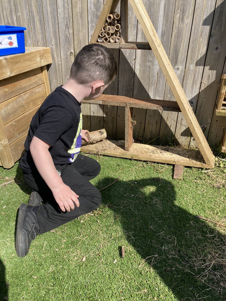 Pennar's Puffins, Goldfinches and Cygnets tweet media