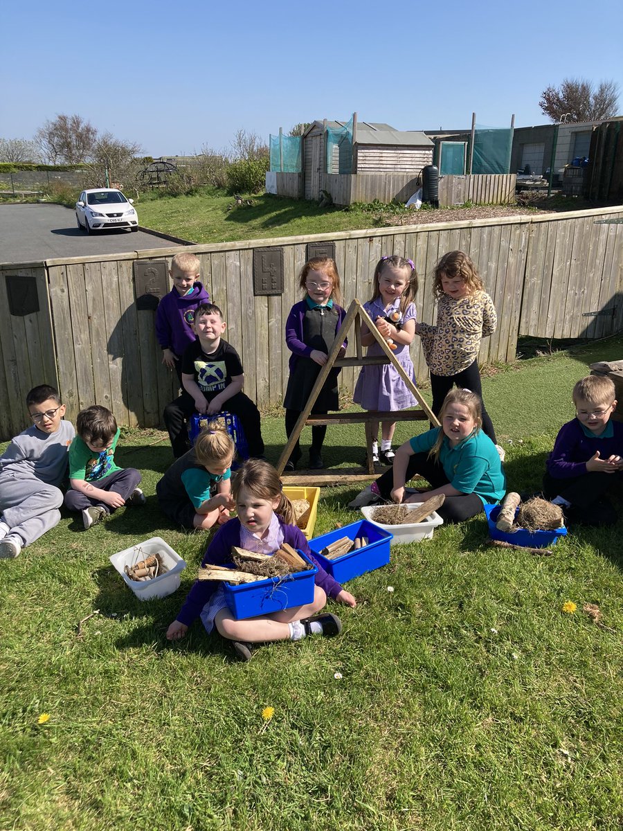 Pennar's Puffins, Goldfinches and Cygnets tweet media