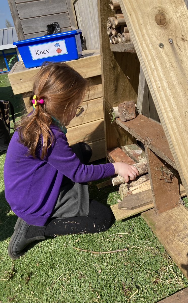 Pennar's Puffins, Goldfinches and Cygnets tweet media