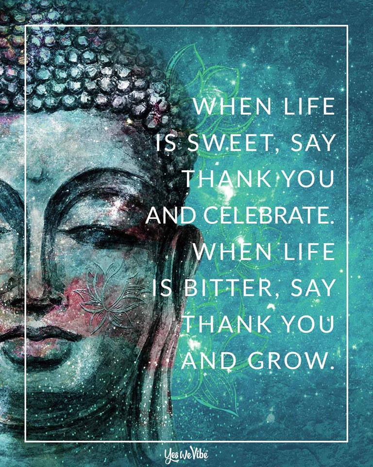 homeshots's tweet photo. Gratitude is a way of life! Be thankful for the Good and the Bad, it has made you who you are now and will influence who you become in the future. #ThingsIHaveLearned #TheThingsISee #SmallBusinessOwner #Barrie https://t.co/9RpJ0nn7l7