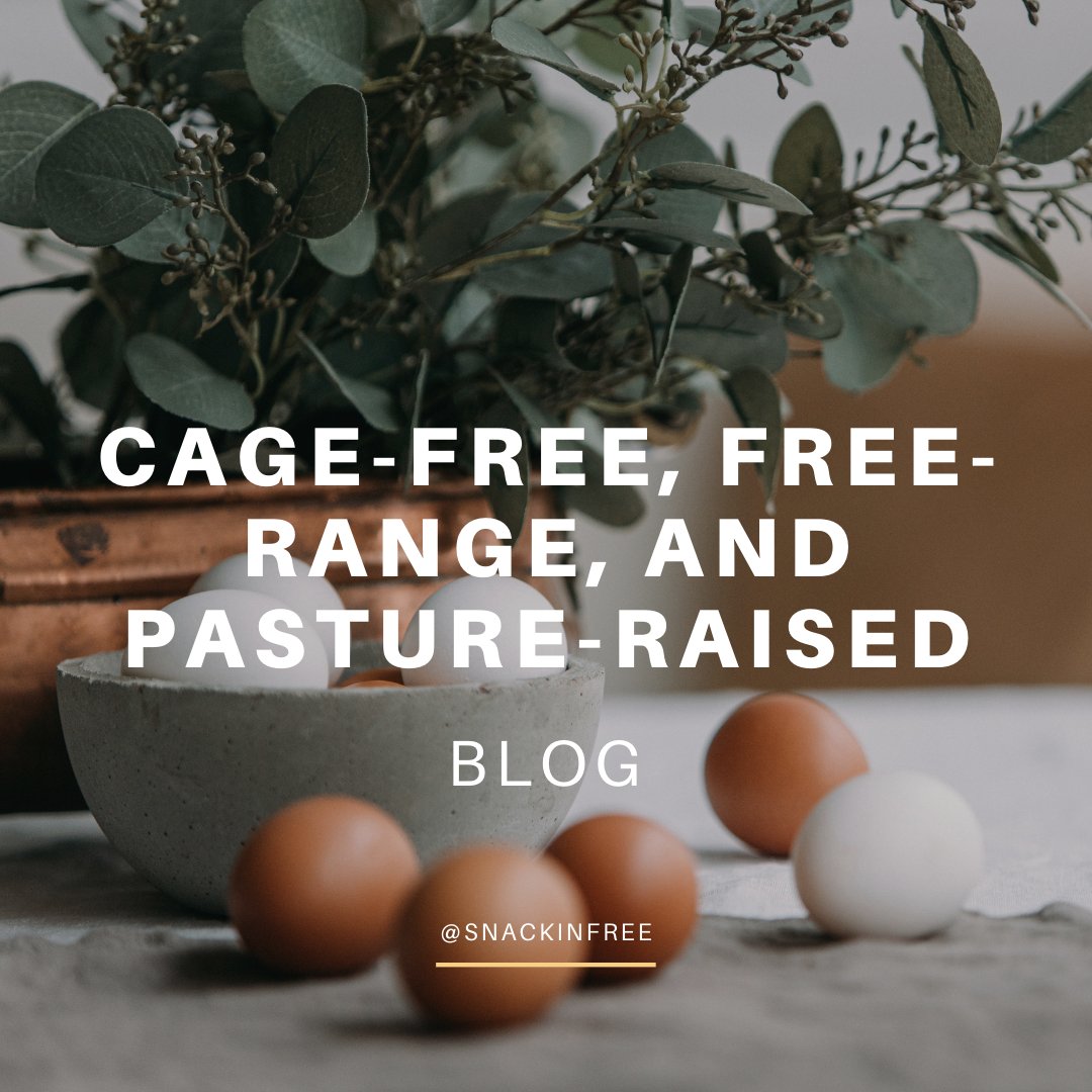 SnackinFree's tweet photo. Do you know the difference between ⁠
⁠
• Cage-Free⁠
• Free-Range⁠
• Pasture-Raised ⁠
⁠
Click the link here to learn the difference: https://t.co/NaHOJaAQ1s 🍳 https://t.co/xfRH6LCmc2