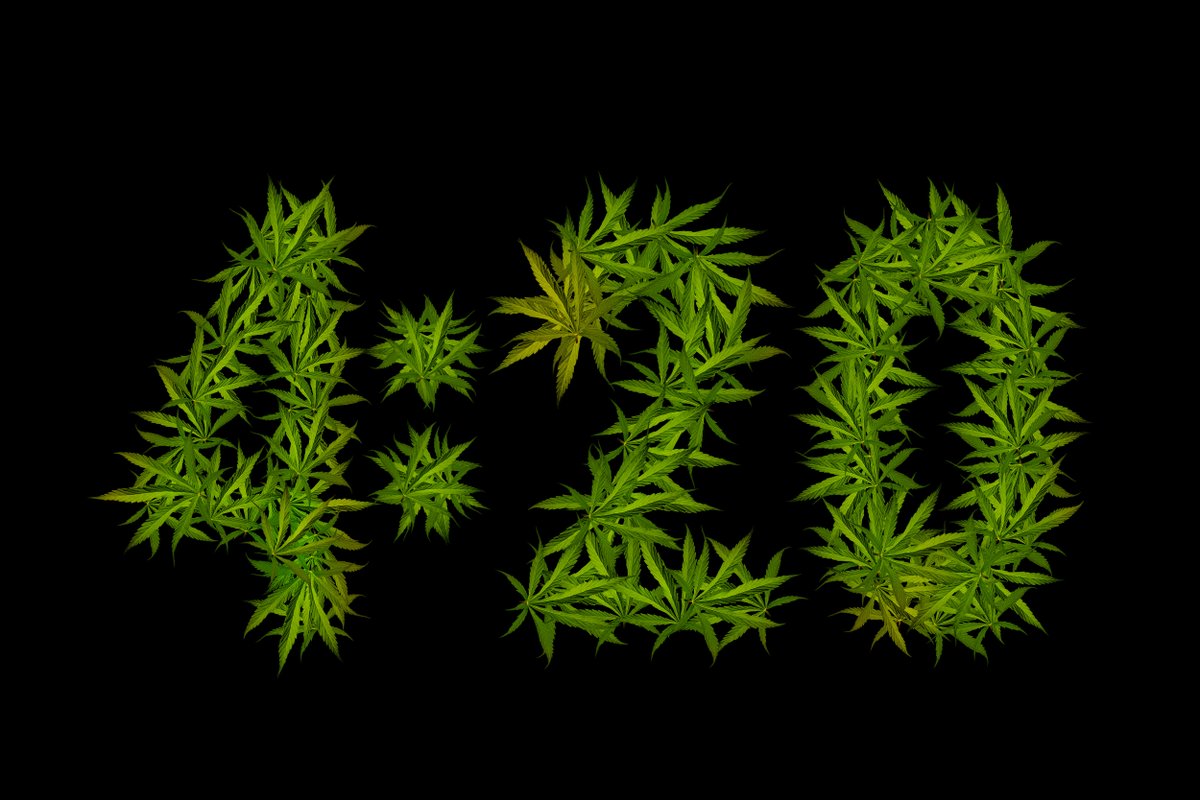 tumanstap's tweet image. #420Tapping TODAY featuring 3 dank/hoppy ales and a marijuana-named Berliner Weisse.  Tapping at 4:20P. Beers: **@450North Durban Poison Slushy XL ** @PhaseThreeBrew Herbasaurus **#PhaseThreeBrewing Terpasaurus ** @sweetwaterbrew 420 Extra Pale Ale. Info: ow.ly/mry550NLLvP