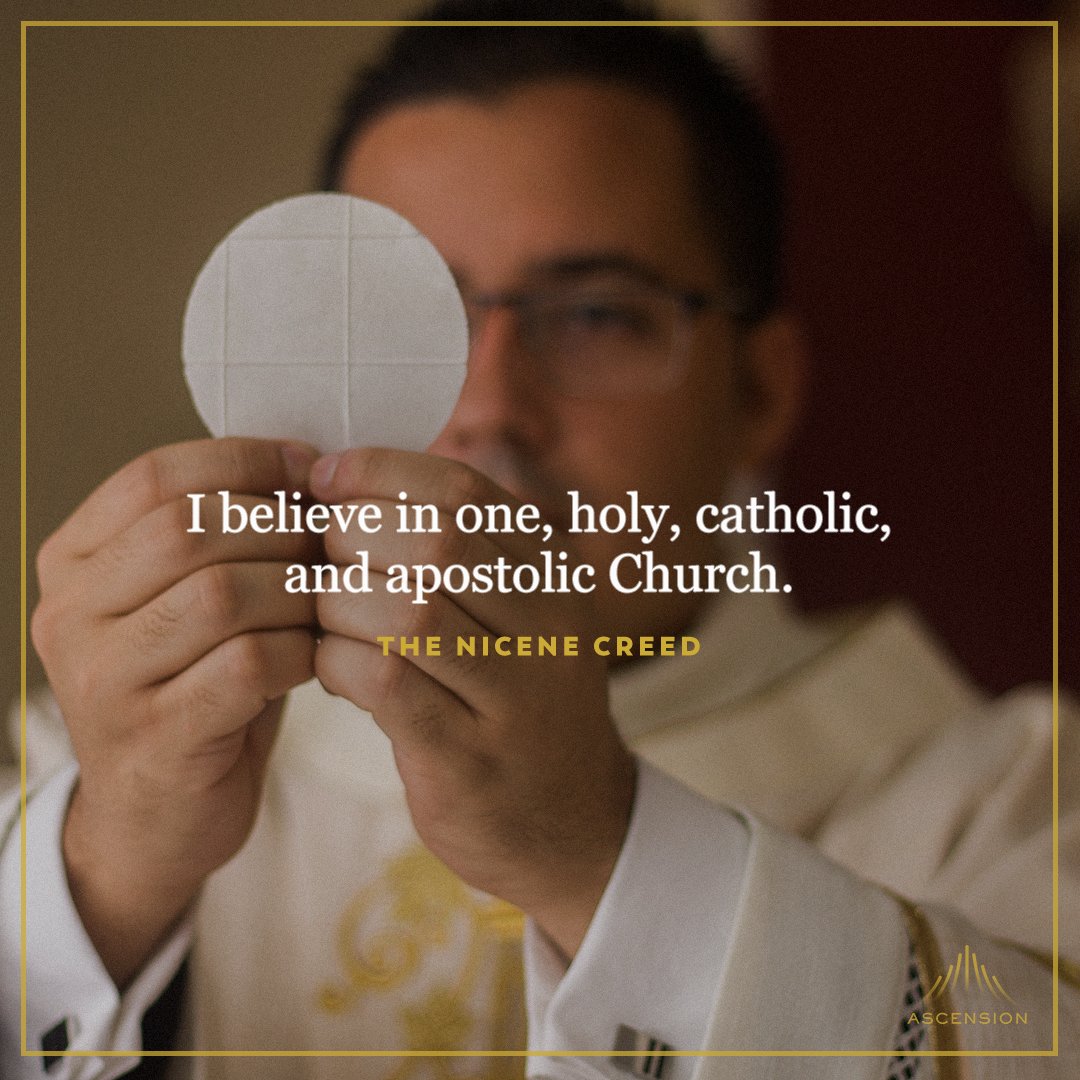 AscensionPress's tweet photo. Amen! 🙏 https://t.co/JdxxEJdP8y