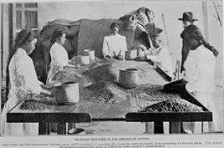 teebcafemexico's tweet photo. El cultivo del café en México es un proceso histórico de más de dos siglos de historia y tradición que ha transformado las regiones cafetaleras en el país. 
Fotos: El Café de México. 
 
https://t.co/EGgdKSyJUq

#TEEBMexico #teebagrifood #historiadelcafe #café #cafedemexicano https://t.co/LZFcHwiYLa