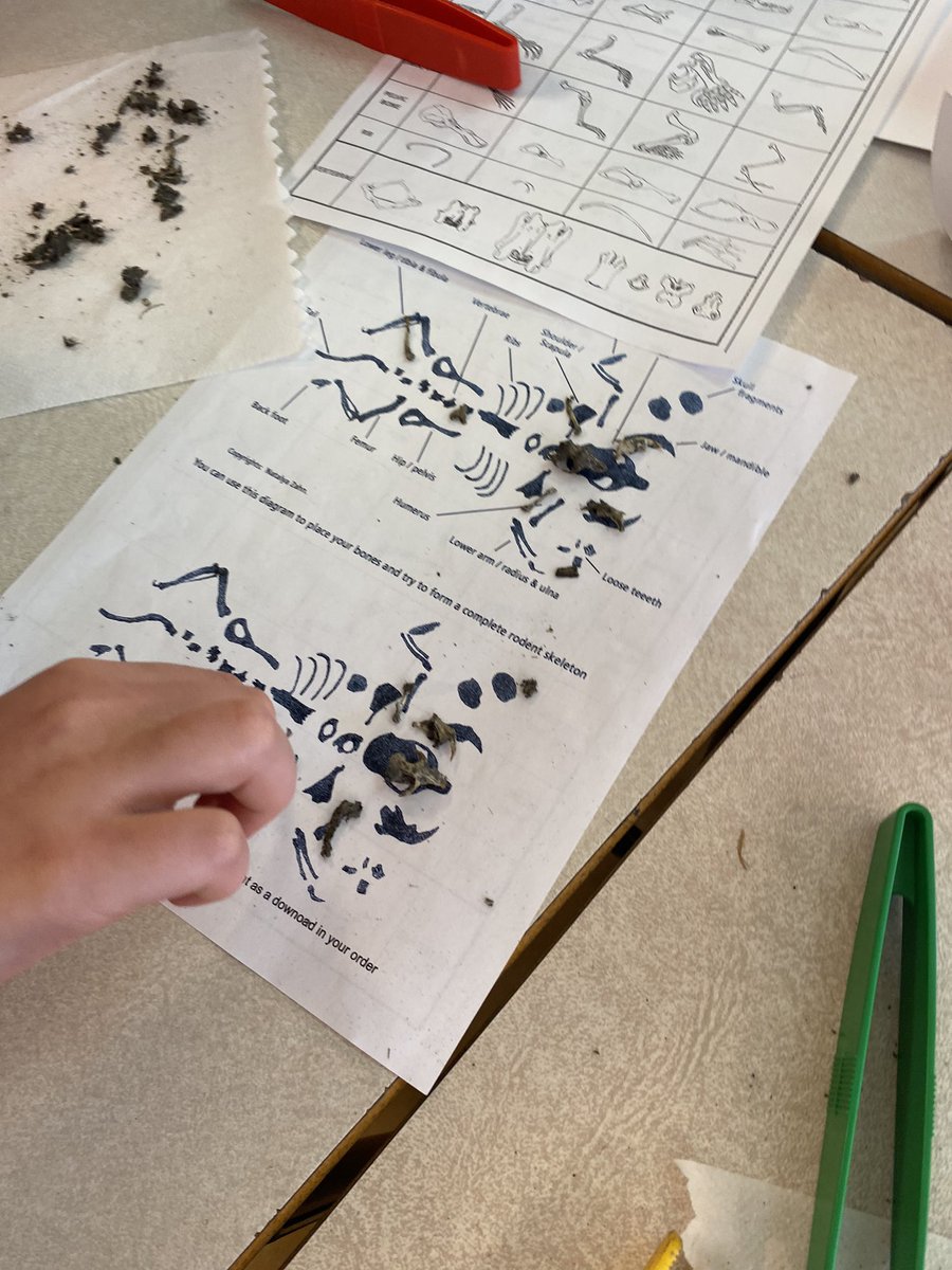 Mrs.BroomeAVRCE tweet media