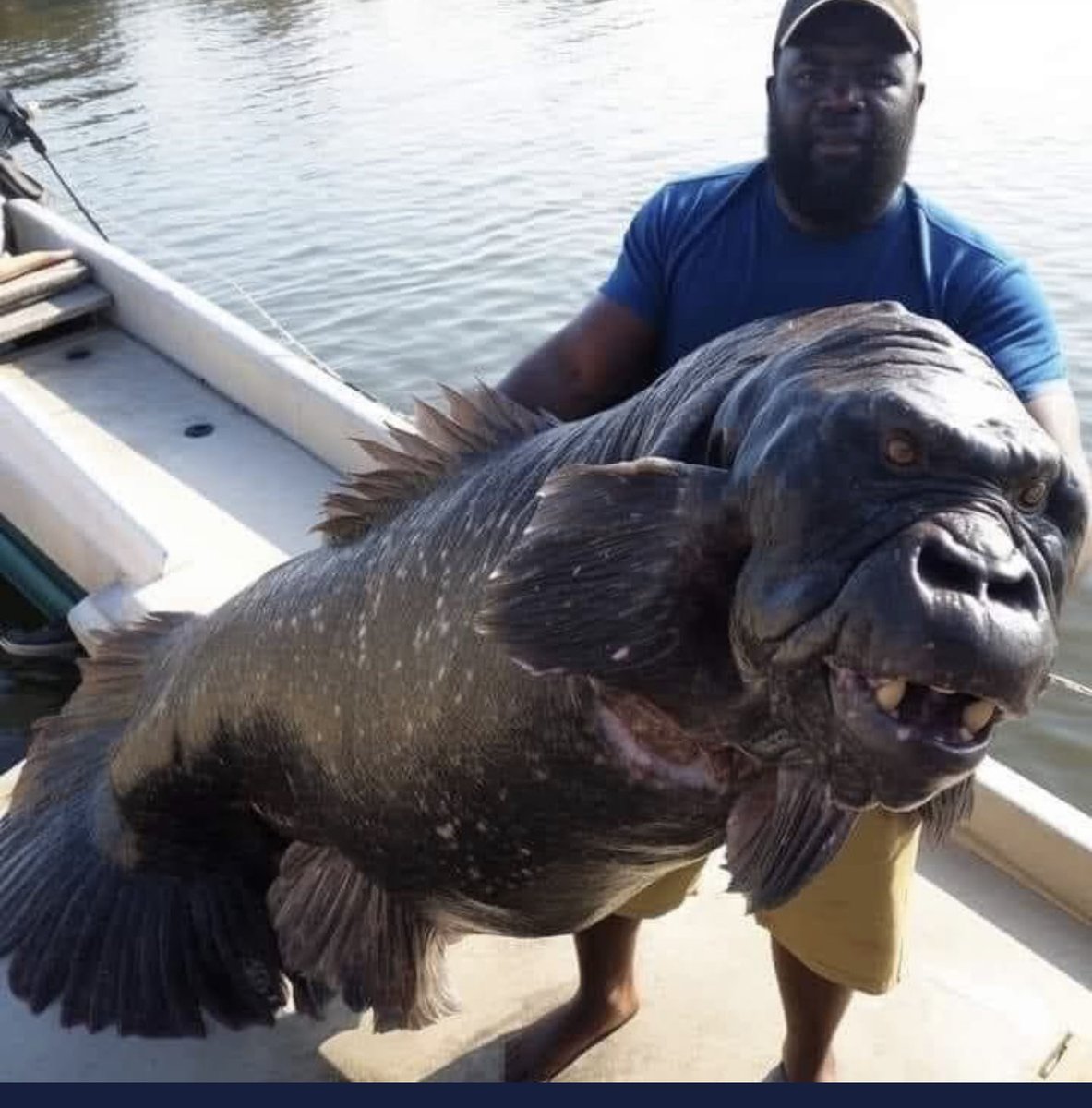 Vinicio Castillo tweet media