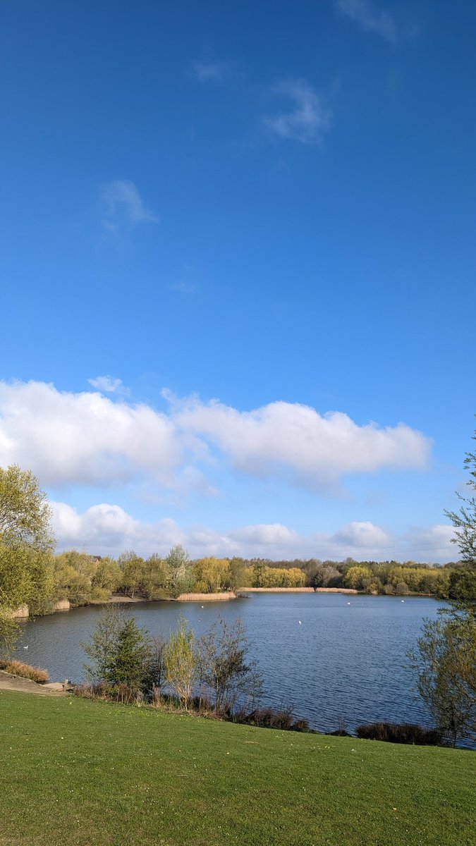 JoCooke's tweet photo. If you love the outdoors post a picture. A picture that YOU took. Just a pic. No description. The goal is to regain peace and harmony without negativity. Please copy the text, put a picture on YOUR page, and let's look at these beautiful pictures. Here's mine 🌳 https://t.co/T6fyEpRIuS