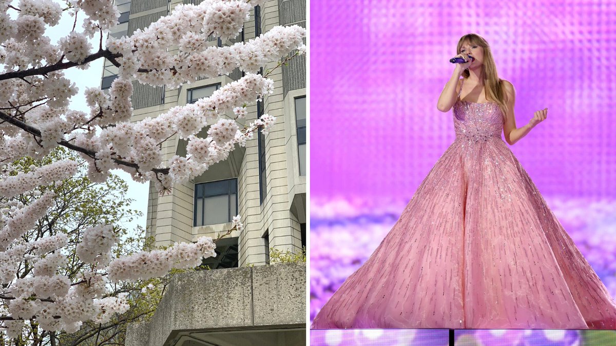 uoftlibraries's tweet photo. Which era are you in?

Taylor Swift's The Eras Tour outfits as #UofT Libraries 🎤✨

Starting with ⤵️
Taylor Swift as Robarts Library during cherry blossom season. 🌸 https://t.co/34rKuUYz57