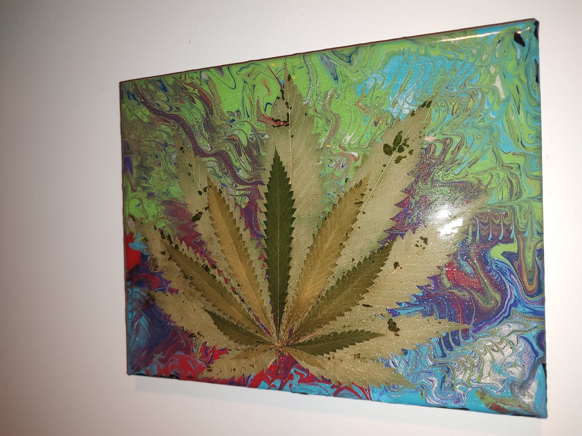 denverart's tweet photo. Have A Nice Day! ☀️🌲🔥

Art &amp; Photography by @dale_pyro, @gemmanji, @Collage_World, @skully.vibes, @andreasdoesart, @visualgoodies, Andy Piper, Ashley Parker, @artt_lunaa, @bigassmaps

#denver #colorado #happy420 #denverart https://t.co/0ljCR7j20b