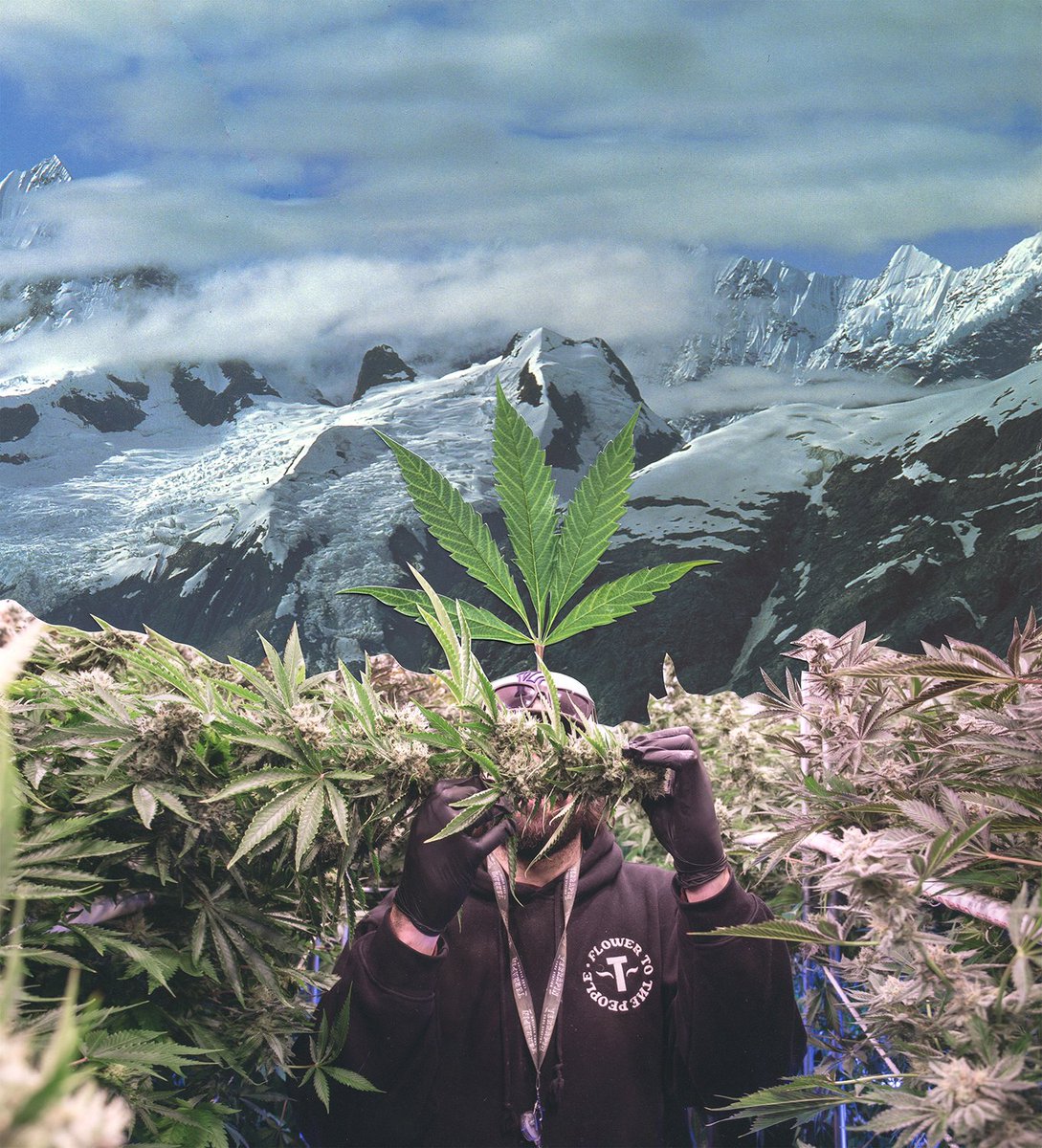 denverart's tweet photo. Have A Nice Day! ☀️🌲🔥

Art &amp; Photography by @dale_pyro, @gemmanji, @Collage_World, @skully.vibes, @andreasdoesart, @visualgoodies, Andy Piper, Ashley Parker, @artt_lunaa, @bigassmaps

#denver #colorado #happy420 #denverart https://t.co/0ljCR7j20b
