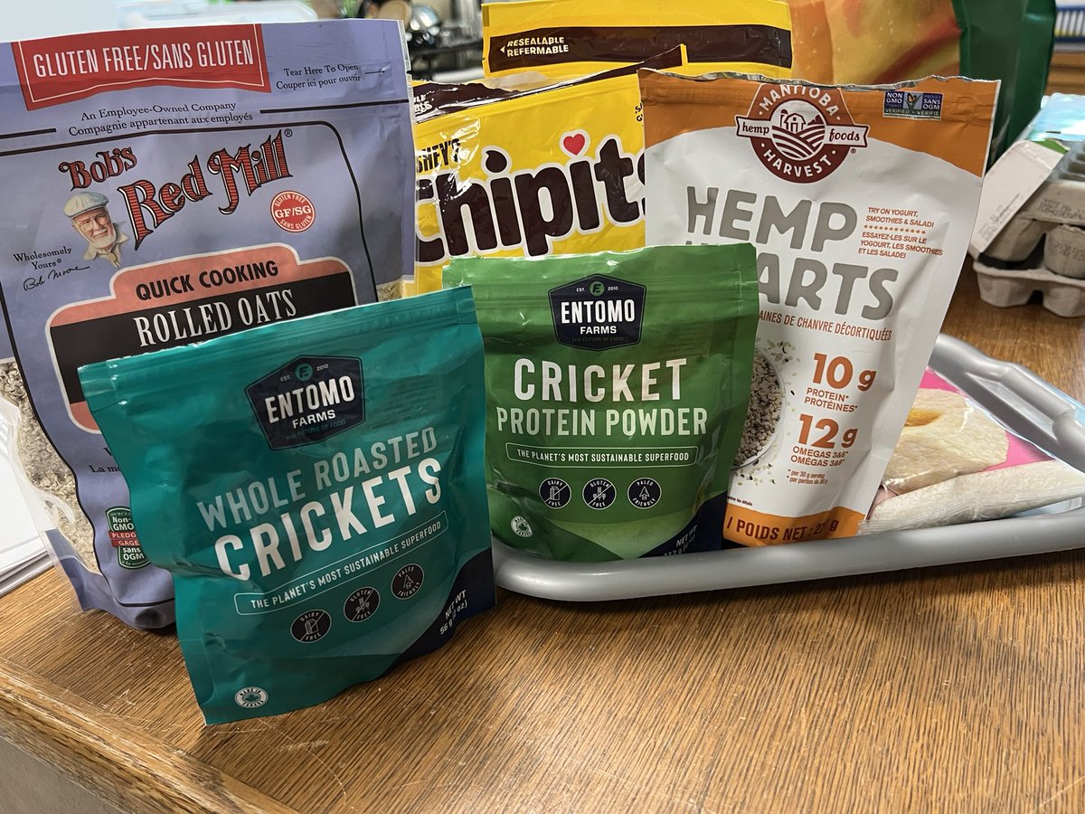 a_faulk64's tweet photo. HFC3M - Cooking with crickets 🦗💚 @BCIVS https://t.co/vXDC1gKEJt