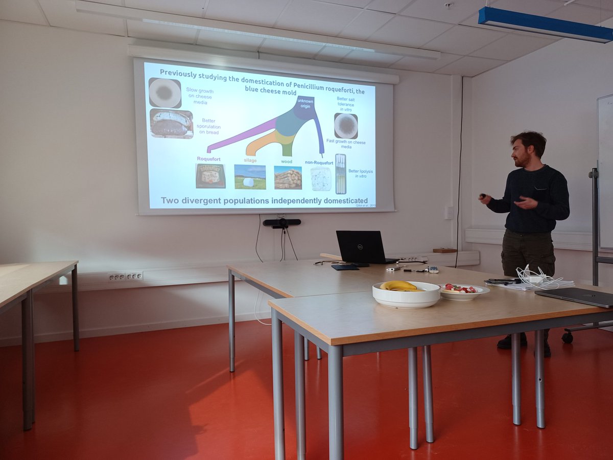 NoahHensen's tweet photo. Todays #KickAssScience was all about meeting up with our Humongous Fungus friends from Uppsala! Learning cool things about everyone's work, and ofcourse eating good food from all around the world! https://t.co/lfUlXb0TAZ