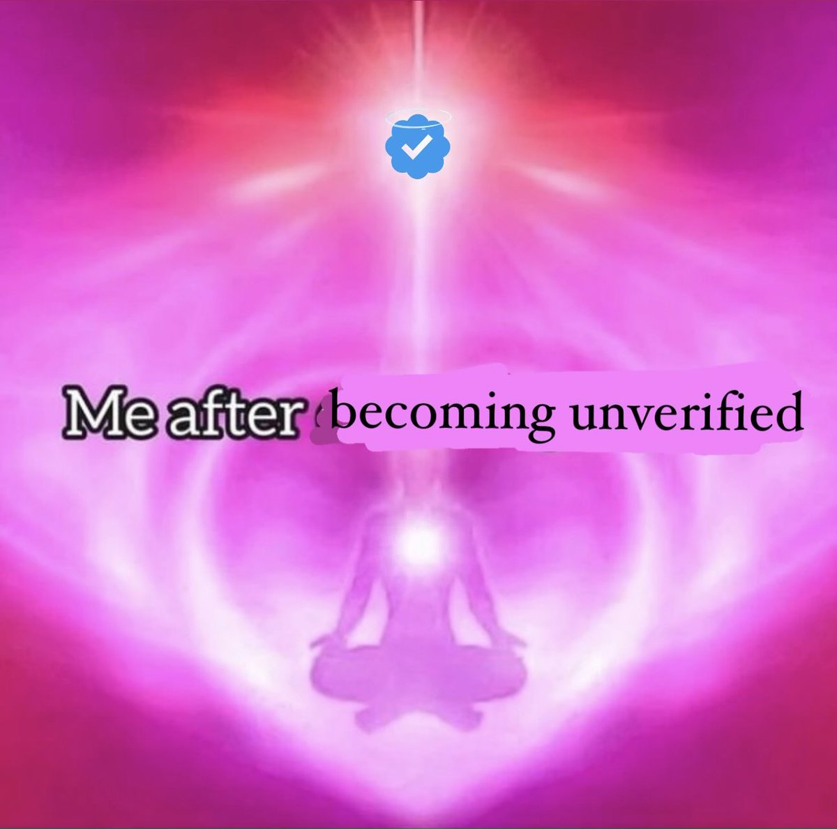 Suki Waterhouse (@sukiwaterhouse) on Twitter photo 