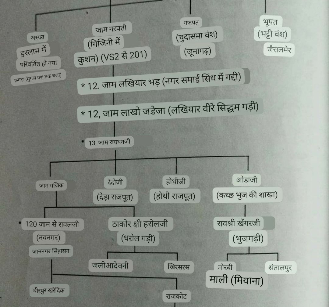 Even Gajsen or Gajpat, the founder of Ghazni who was mentioned as a distant ancestor of the Bhatis in the Bhati genealogy is said to be a biological brother of the Jadeja patriarch. This genealogical hodge-podge gets murkier with the addition of Aspat who is said to be the...13/n 