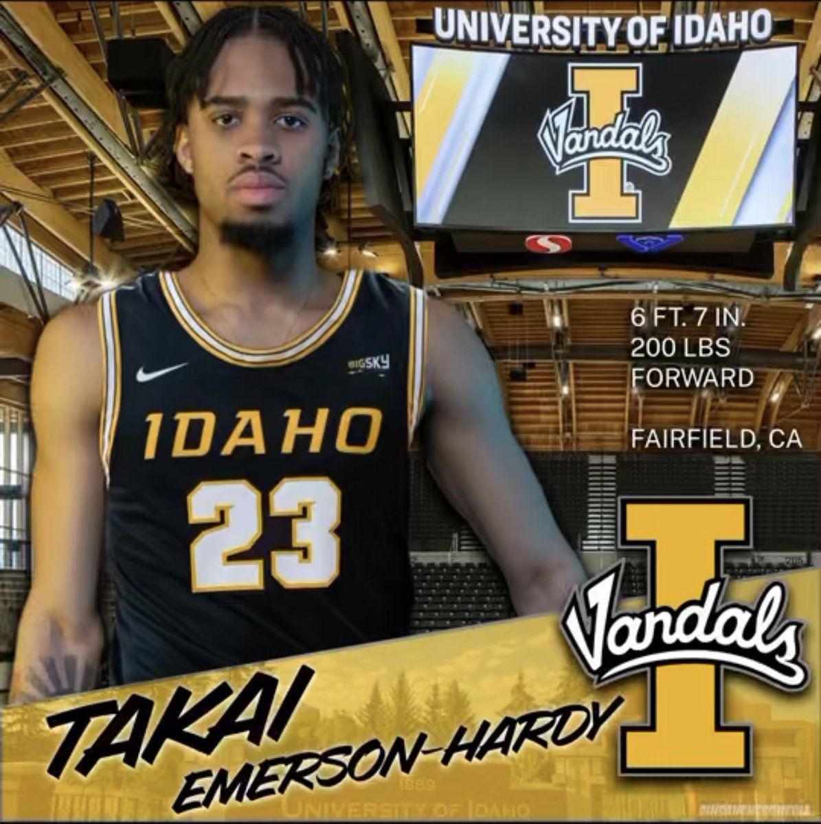 1000% Committed 💛🖤
<a href="/VandalHoops/">Idaho Basketball</a>