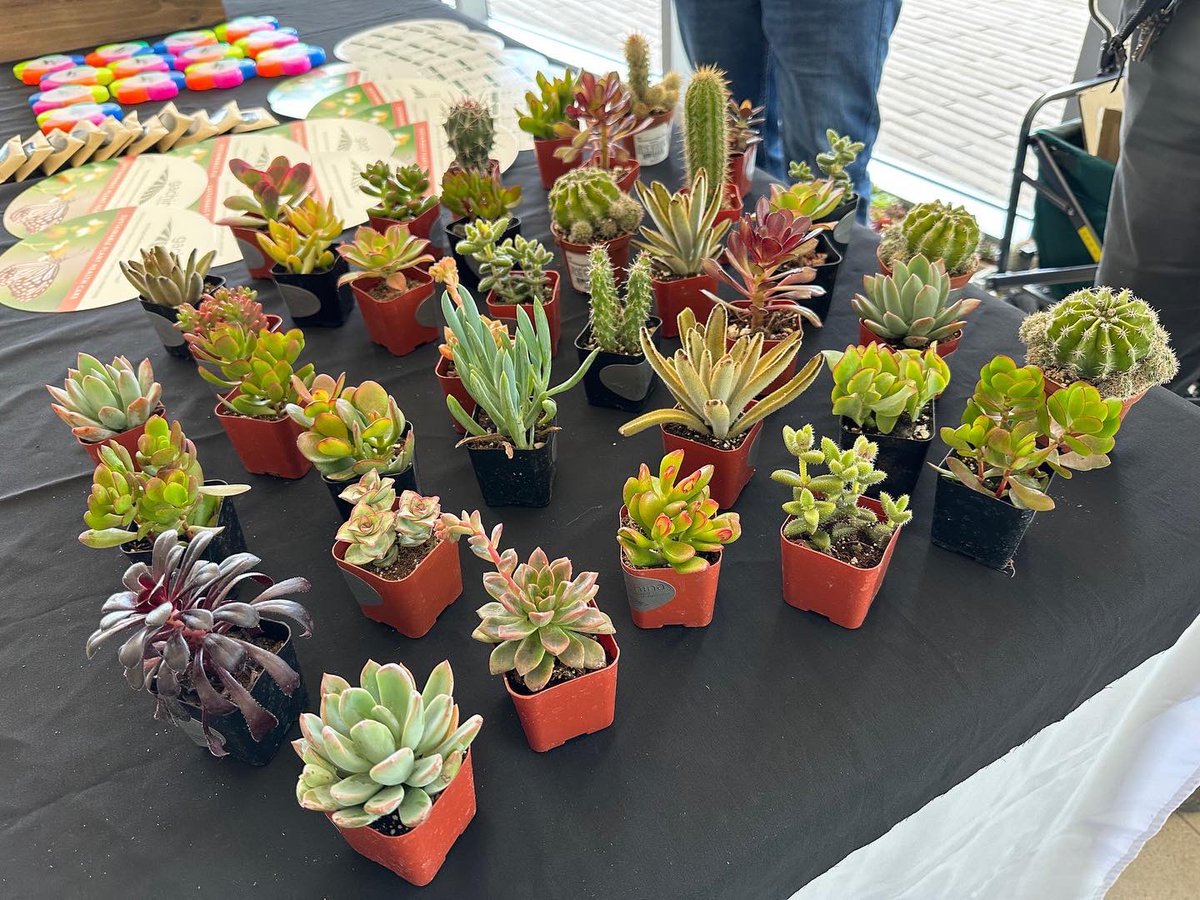 GachinaLM's tweet photo. We here at Gachina are all about supporting our clients and partners. When our friends at @transwestern asked if we’d like to participate in their Earth 🌎 Day event, our San Francisco Team SHOWED UP 🌟! A big thank you to Patrick, Ivan &amp; Kai!    
#EarthDay2023 https://t.co/tXTP9lx3I6