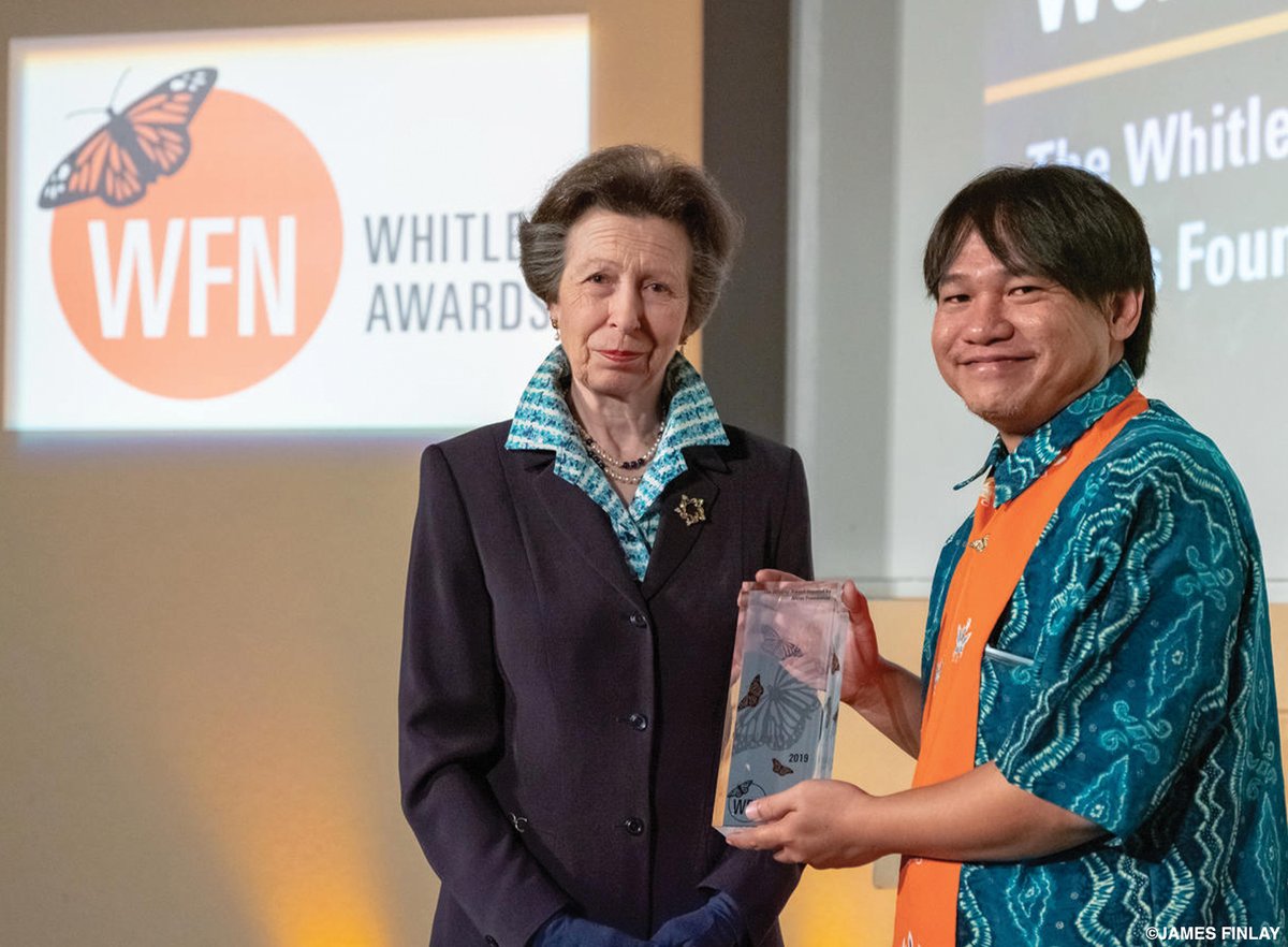 #ThrowbackThursday: @GPOrangutans's Wendi Tamariska received a 2019 Whitley Award for his work to protect #orangutans and rainforests in Indonesia.

Watch the 2023 @WhitleyAwards ceremony on April 26 to meet the latest awardees: whitleyaward.org/events/2023-wh…