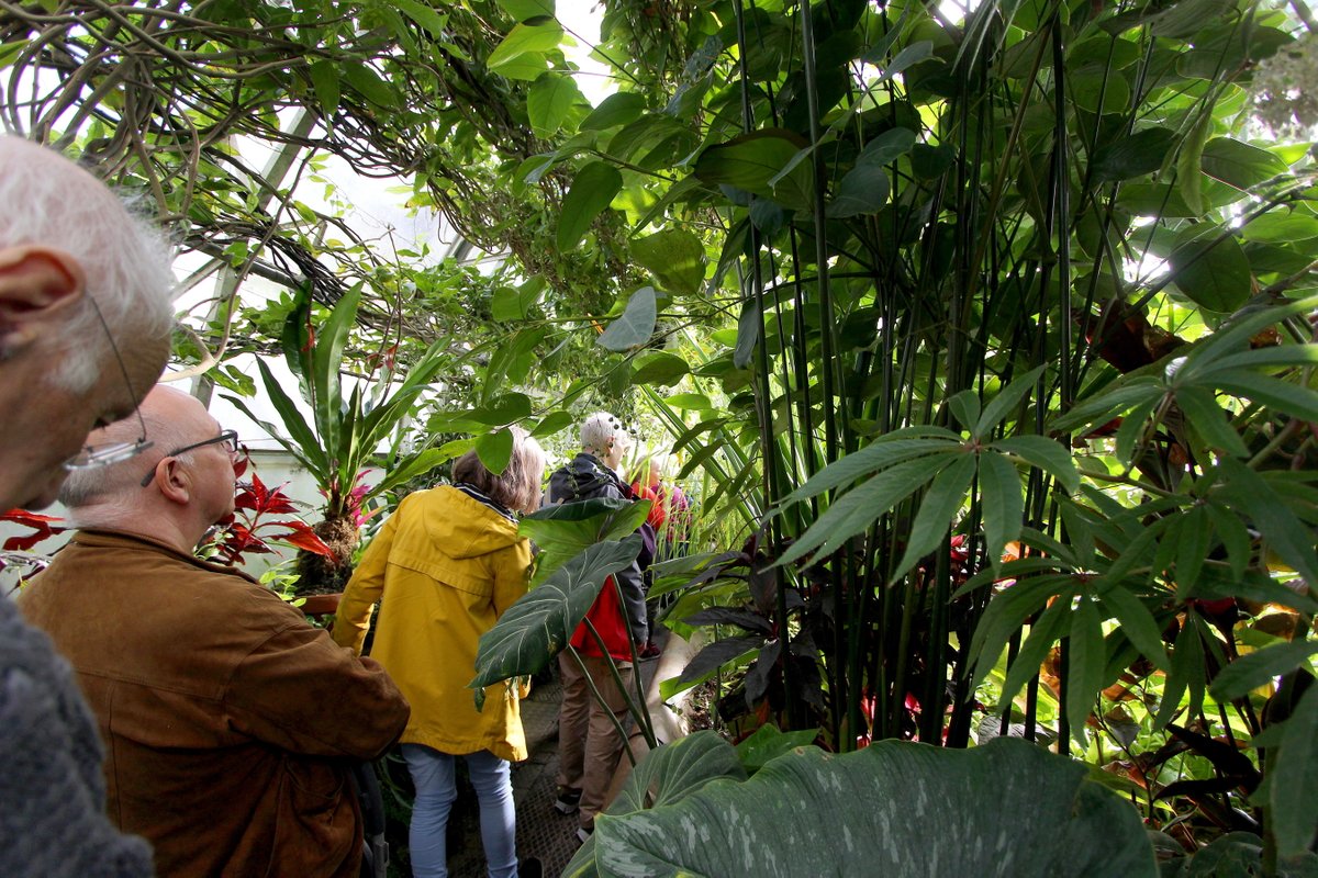 SongPath tweet media