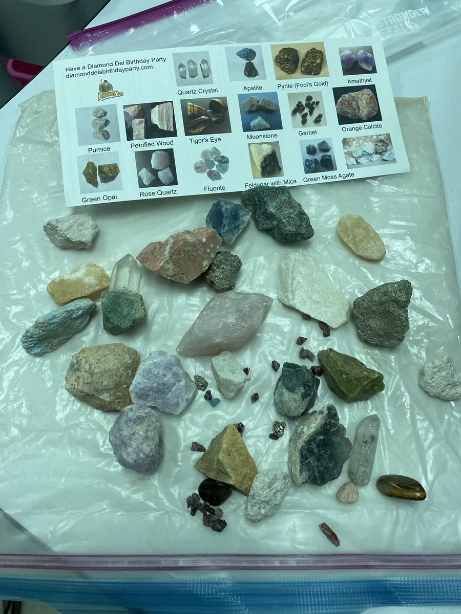 blueegg3r's tweet photo. Great #diamonddel in-school field trip today as we prepare for the 5th grade @EducationFL state Science test! Such a fun field trip! @CitrusGrove_VCS @volusiaschools @VCSscience https://t.co/f3gve2RaBz