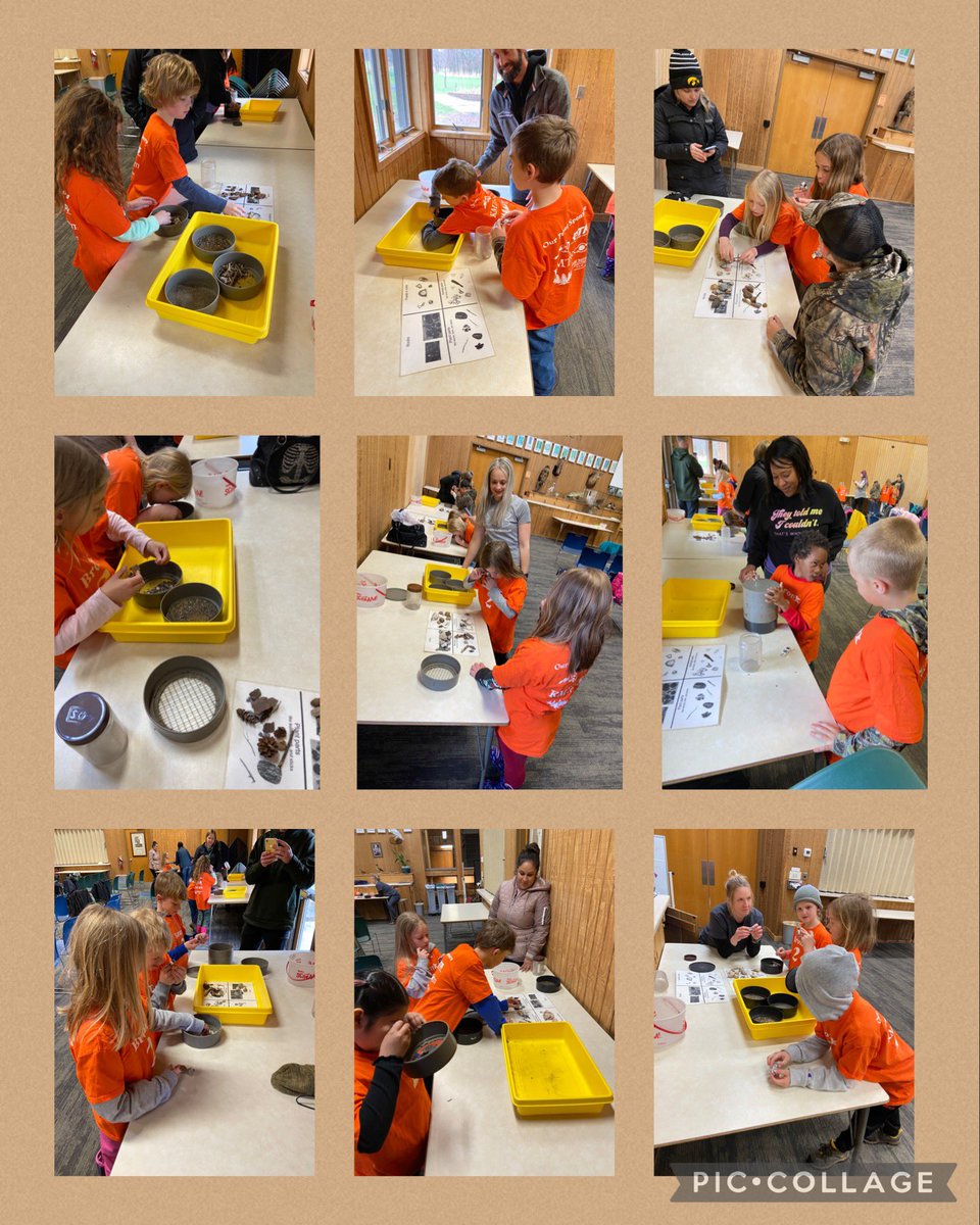bronk_lb's tweet photo. Great Day at Quarry Hill Nature Center. Rain didn’t stop the fun #soilsleuths #LifeCycleofTrees @KMElem #FunIn2ndGrade @QuarryHillNS #ThankYou https://t.co/gn2BWx4keb