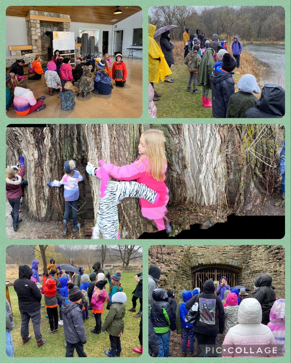 bronk_lb's tweet photo. Great Day at Quarry Hill Nature Center. Rain didn’t stop the fun #soilsleuths #LifeCycleofTrees @KMElem #FunIn2ndGrade @QuarryHillNS #ThankYou https://t.co/gn2BWx4keb
