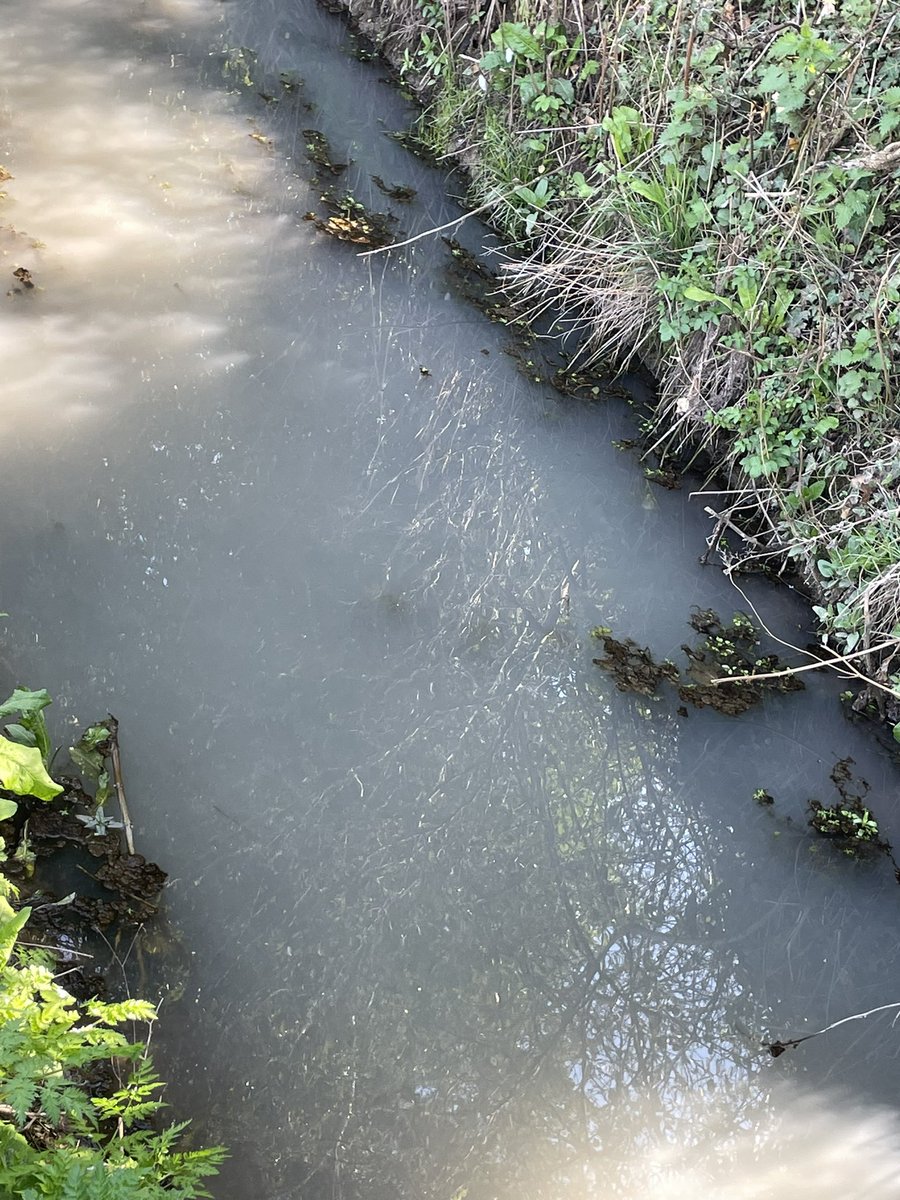 <a href="/AnglingTrust/">Angling Trust</a> Meanwhile last week <a href="/DwrCymru/">Welsh Water</a> release sewage into a tributary of the same river less than 5 miles away. But hey, let’s go after the local business owners first