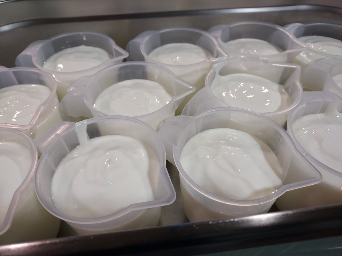 BrocklebysPies's tweet image. #buttermilk at the ready for our bread making class.

We&apos;ll have a bet that you would find it hard to resist tucking into the warm Cheese and Spring Onion Soda Bread before you get home😂😋

#breadmakingclass #learntobakebread #sodabread #speltloaf #bakingclasses