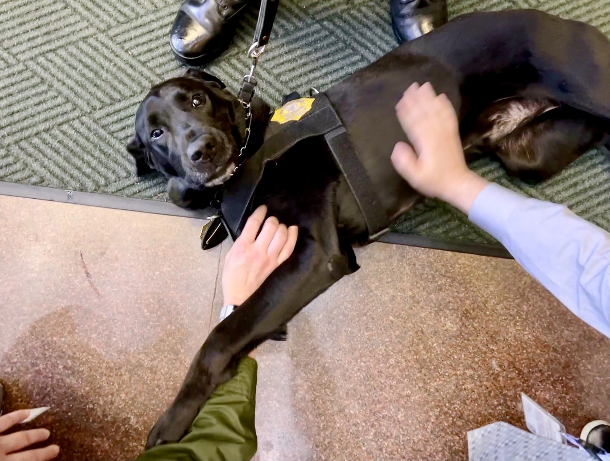 New Jersey Division of Fire Safety tweet media