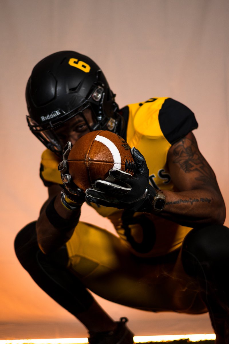 WayneStFootball's tweet photo. 𝕺𝖋𝖋𝖊𝖓𝖘𝖊 𝖎𝖓 𝖌𝖔𝖑𝖉

#ForThePaw🐯🔥 X #WAYN24MERICA https://t.co/W055rdfW1t