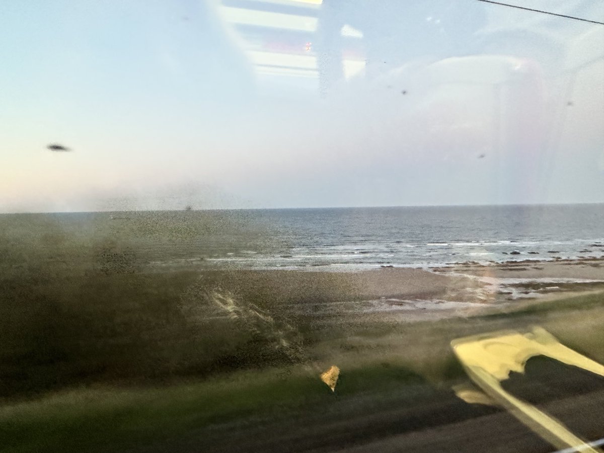 Glynis Fox tweet media