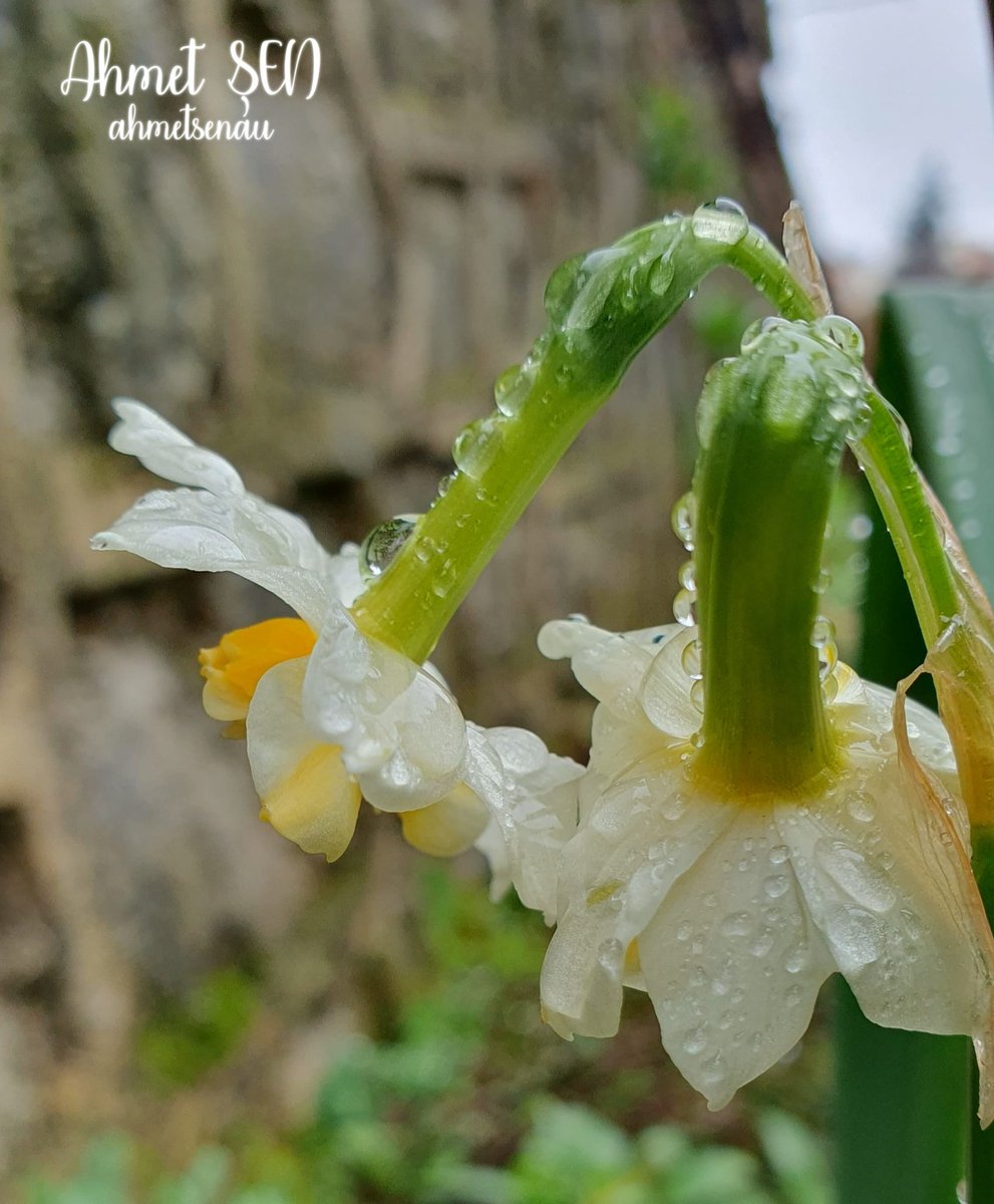 "Ramazan Bayramımız Mübarek Olsun"
Yine bir bayramda mesajlaşmak, bayramlaşmak ve yaşanmışlıkları düşünerek hamedetmenin mutluluğunu yaşıyoruz. Kaybettiklerimize rahmet, herkese esenlikler diliyorum.