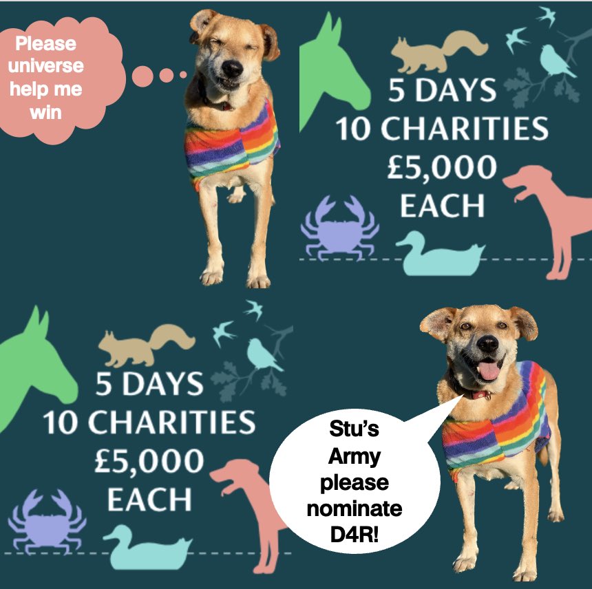 Dogs4Rescue's tweet photo. We have just 24 hours to get as many votes as possible to try & win £5,000 for our new site. It’s free to nominate and only takes 1 min. Type in Dogs 4 Rescue and we will come up 🙏Stuart has his magic dreamcoat on as we could really do with this win 🙏🙏
https://t.co/UrOGRa9Yaw https://t.co/6go1k3BlqU