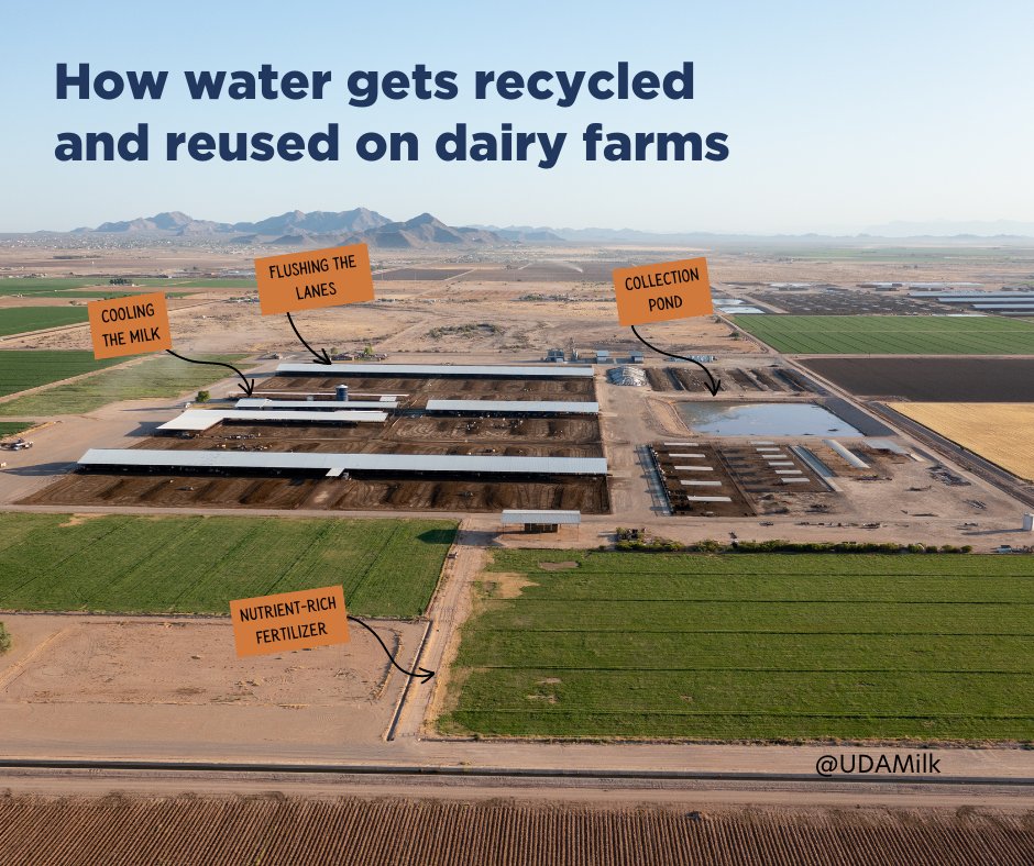 United Dairymen of Arizona tweet media