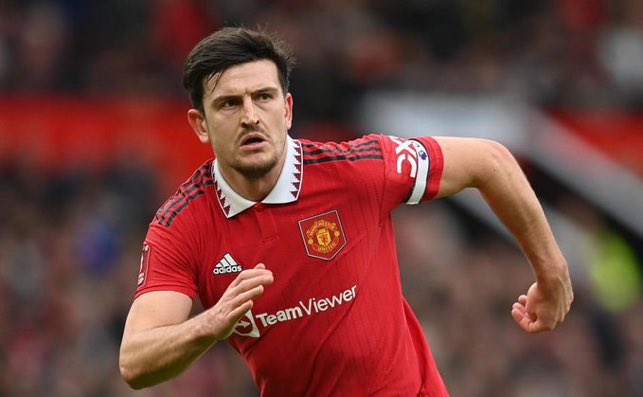 MrManUnitedd's tweet photo. If we are eliminated from Europa, let all the blame be on Harry Maguire @HarryMaguire93 

Retweet till it gets to him https://t.co/OiporIjf5L