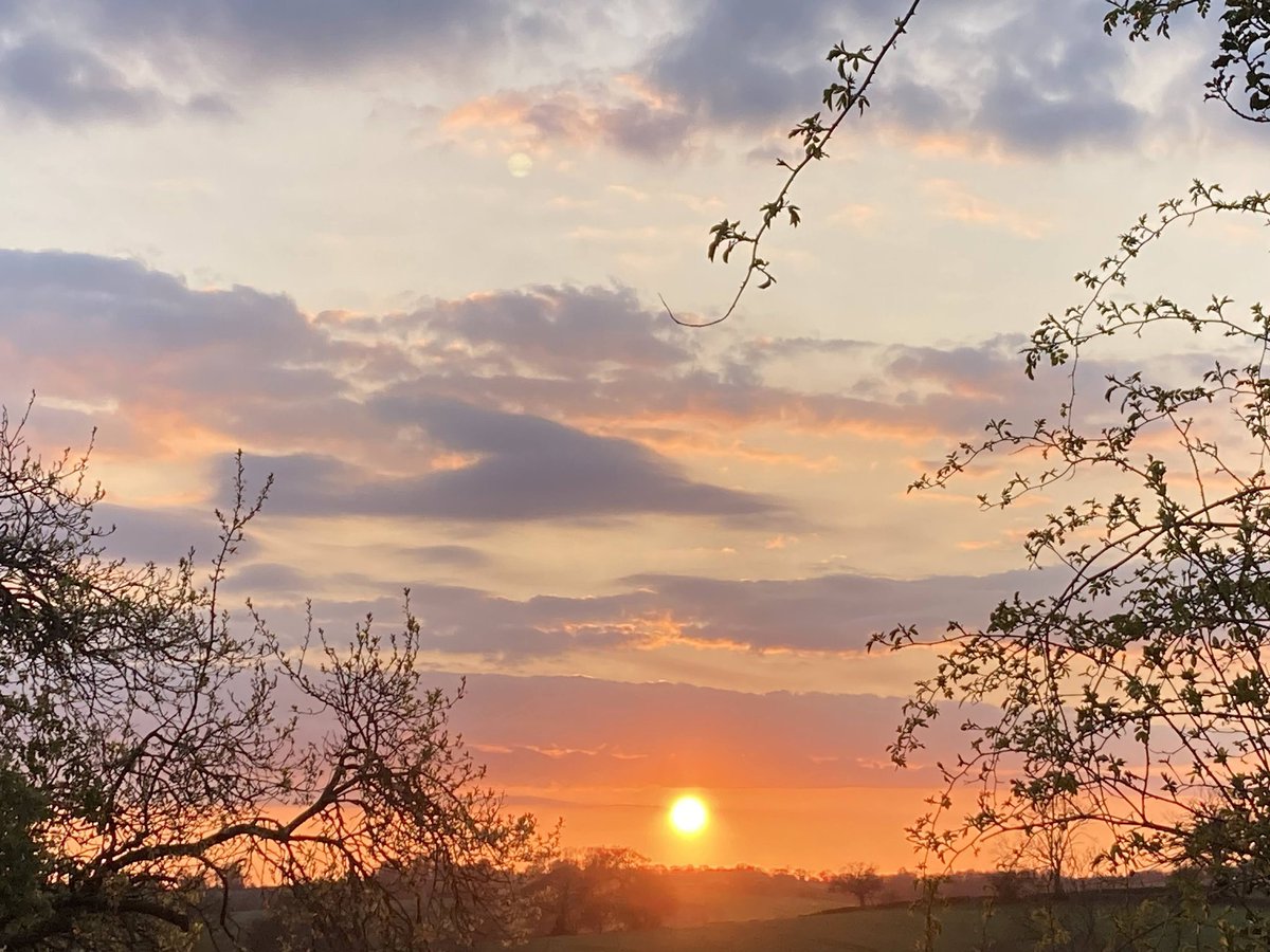 Sunset. Pink flushed sky. #Derbyshire