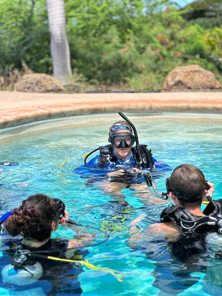 BECOME A <a href="/PADI/">PADI</a> PRO! 😎
Join us for the upcoming IDC's and kickstart your career in paradise. 🏝

#lahainadiversmaui #instructordevelopmentcourse #livethedream #gopro #signupnow