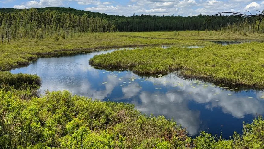 Bill S-5 which seeks to reform the Canadian Environmental Protection Act (CEPA) for the 1st time in more than 2 decades, must be passed into law ASAP this spring. Tell <a href="/guilbeault/">guilbeault</a>, @jduclos &amp; your MP to vote yes to pass this groundbreaking bill!➡️bit.ly/3VFJXaS #CdnPoli