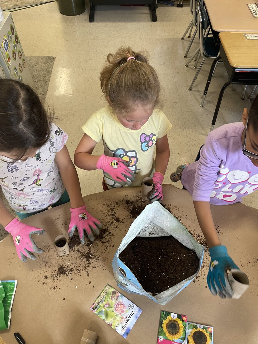 MissFrye14's tweet photo. Planting for the pollinators!🌻🐝🦋 Students learned about the decline in bird’s habitats and how planting native plants can help give them new homes and food. We planted pollinator friendly and native plants after learning about a pollinator bird, the hummingbird. #WErTJ https://t.co/3pKPi722TG