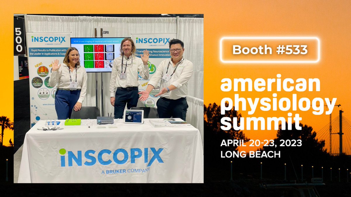 Inscopix's tweet photo. π£ We are ready to roll @Inscopix #APS2023 Booth 533 in sunny CA! βοΈ Bring your #neurovascular questions, because we've got some amazing new #miniscope and #multiscope applications for Ca2+ imaging w/behavior! Chat with @MacnameeSarah, @laziefred & #twitterless Peter Schuette! π https://t.co/JdxDYO5EYz