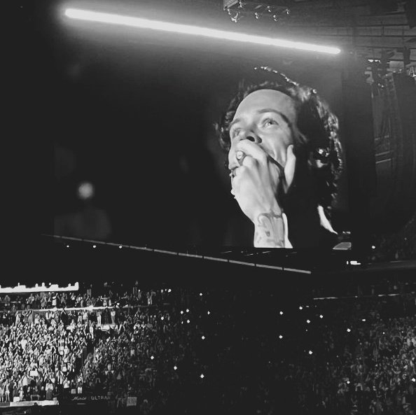 auronftharry's tweet photo. ㅤ۫ㅤㅤㅤ𝅄ㅤㅤ  ⏤͟͟͞͞★ ㅤ ㅤ 𝆬ㅤ https://t.co/gwtqC0QMVW