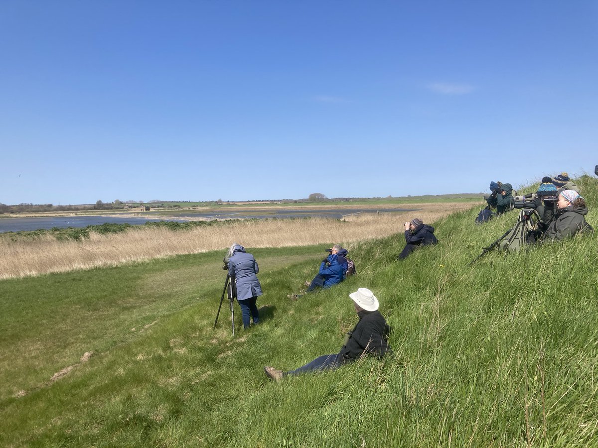 The wind proved challenging as <a href="/BirderGranty/">John Grant</a> &amp; I guided a group today. Nevertheless we saw Redstart, Dartford Warbler (scoped). Avocets, Marsh Harriers &amp; summer plumaged Bar-tailed Godwits. Lunch at <a href="/Froizesuffolk/">FROIZE</a> was wonderful! Next event is on 11 May. froize.co.uk/product/guided…