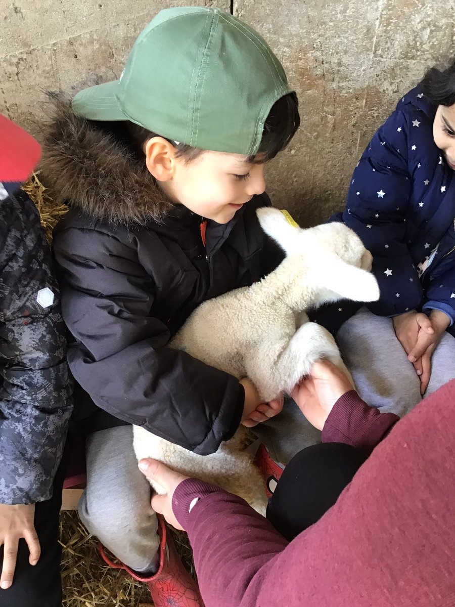 Woodland_Grange's tweet photo. Today, Mrs Pearce’s class got to go to the farm. We had a great time and loved our cuddle with the lamb😍 thank you to Manor Organic Farm and Farmer Amy @manororganic https://t.co/34uXJbm279
