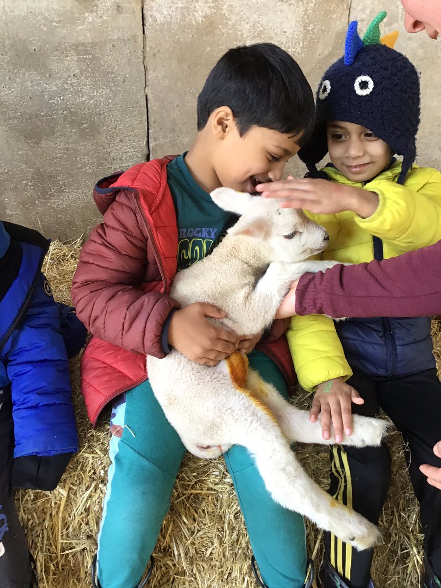 Woodland_Grange's tweet photo. Today, Mrs Pearce’s class got to go to the farm. We had a great time and loved our cuddle with the lamb😍 thank you to Manor Organic Farm and Farmer Amy @manororganic https://t.co/34uXJbm279