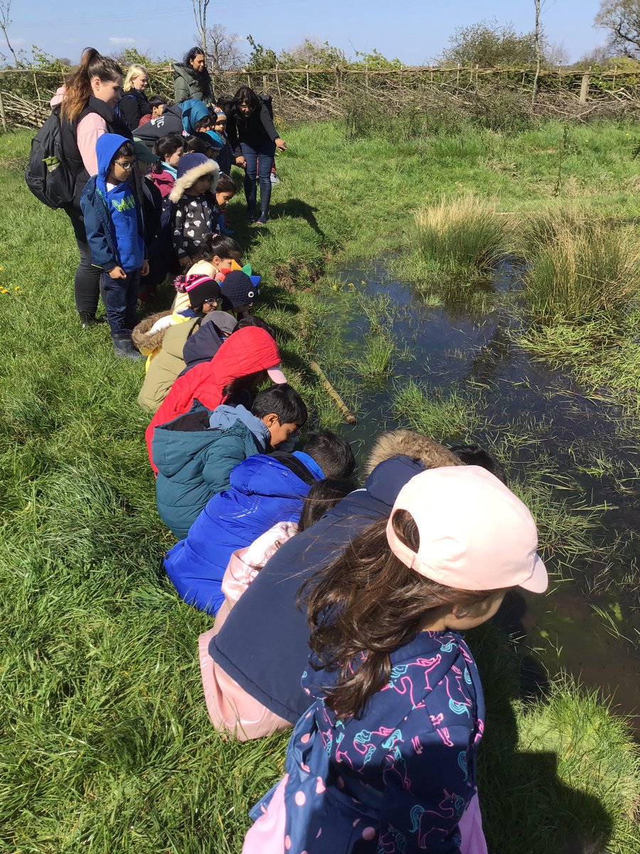 Woodland_Grange's tweet photo. Today, Mrs Pearce’s class got to go to the farm. We had a great time and loved our cuddle with the lamb😍 thank you to Manor Organic Farm and Farmer Amy @manororganic https://t.co/34uXJbm279