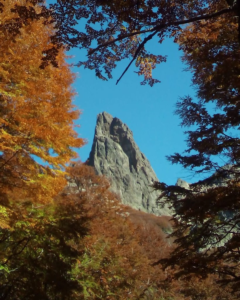 aquileaaquilea's tweet photo. Otoño en Bariloche
Viaje al Refugio Lopez
Macizo del Lopez

#refugiolopez #otoño #lenga #ñire #patagonia #fall #bariloche #parquenacionalnahuelhuapi
#nothofagus #bosque #autumn #wood #woods https://t.co/iDjuI6LpTX