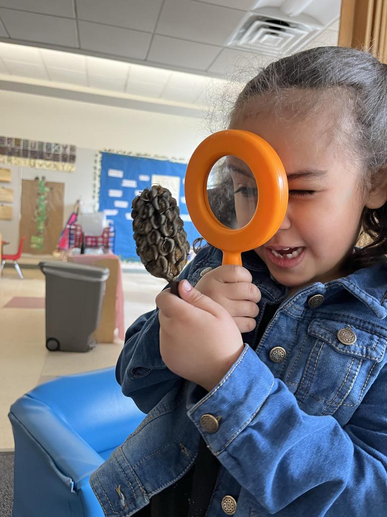 FJECC_TI_Boston's tweet photo. We love nature so much we bring it inside to explore!
#FJECC #Boston #Brookline #NatureExplore #nature #preschool #PreK #Kindergarten #Toddler #ECE #EarlyChildhood #education #school #TempleIsraelBoston #STEM #science #look #explore #learn https://t.co/bbAXlXahFI