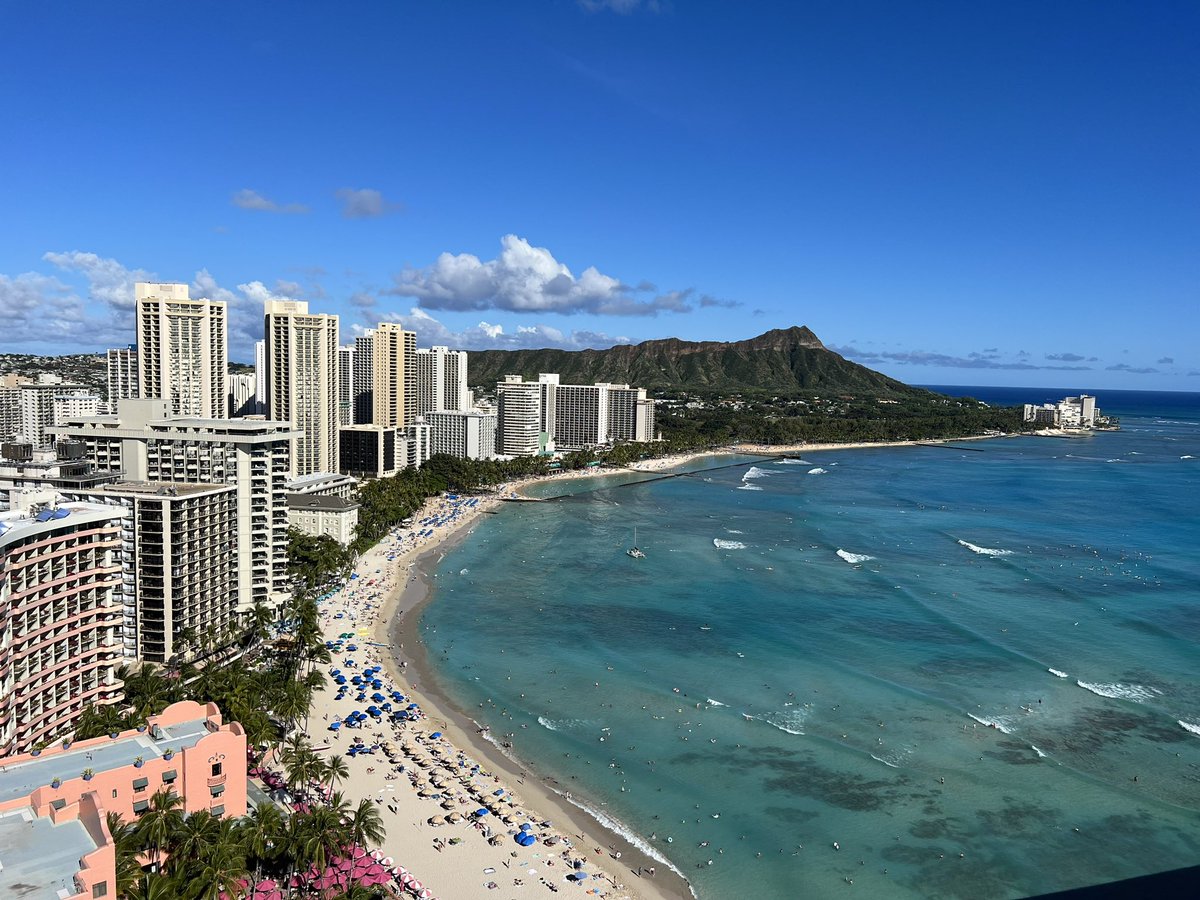 Adam Roth, MD tweet media